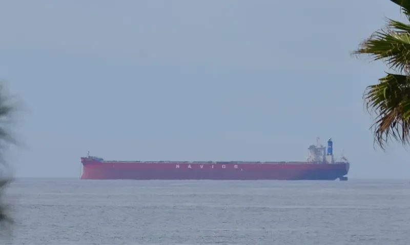 NAVIOS FELIX Bulk Carrier IMO 9756743 photo 6