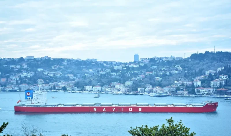NAVIOS FELIX Bulk Carrier IMO 9756743 photo 9