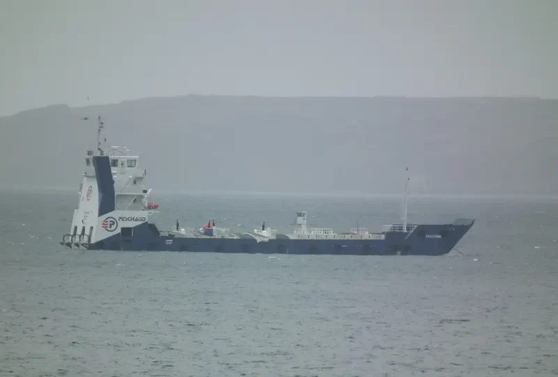 CELESTE General Cargo IMO 9757280 photo 2