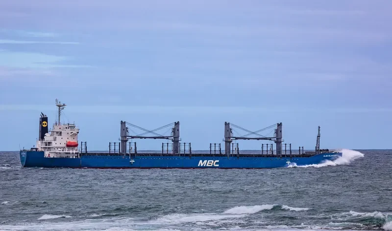LENA Bulk Carrier IMO 9757539