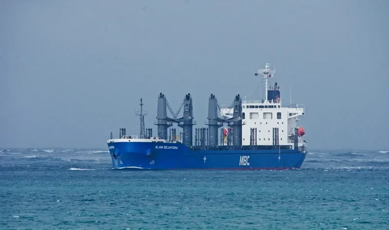 LENA Bulk Carrier IMO 9757539 photo 3