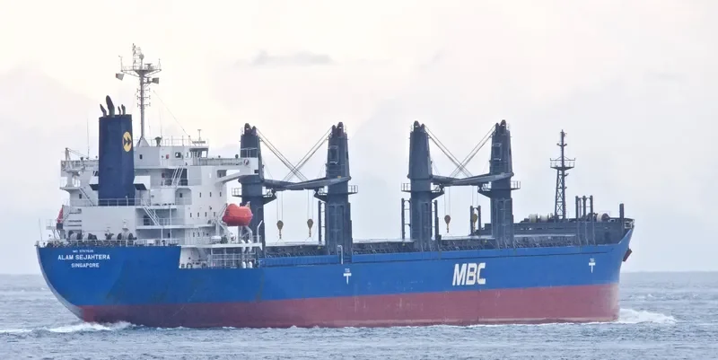 LENA Bulk Carrier IMO 9757539 photo 6