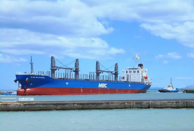 LENA Bulk Carrier IMO 9757539 photo 9