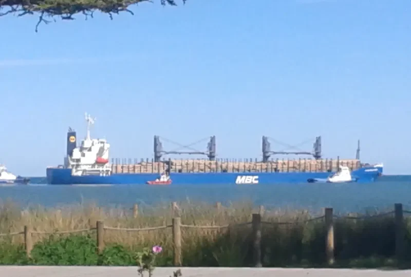 LENA Bulk Carrier IMO 9757539 photo 10