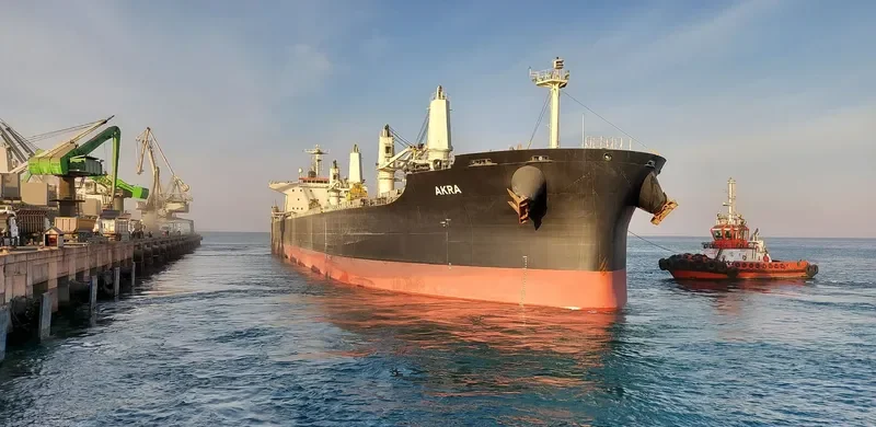 AKRA Bulk Carrier IMO 9757929 photo 3