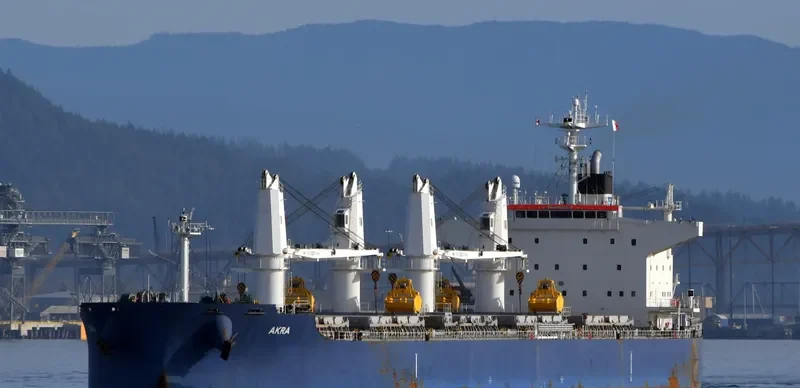 AKRA Bulk Carrier IMO 9757929 photo 10
