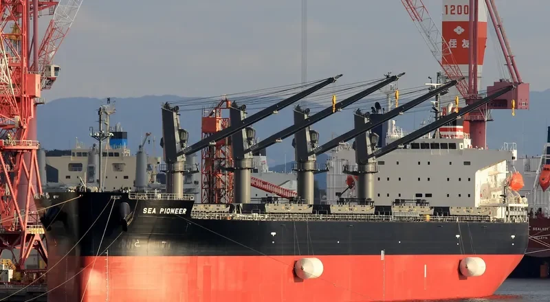 SEA PIONEER Bulk Carrier IMO 9758131 photo 2