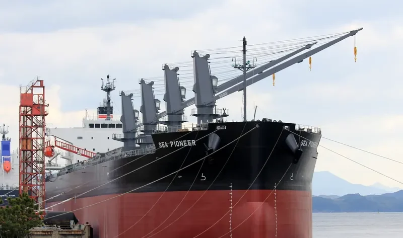 SEA PIONEER Bulk Carrier IMO 9758131 photo 5