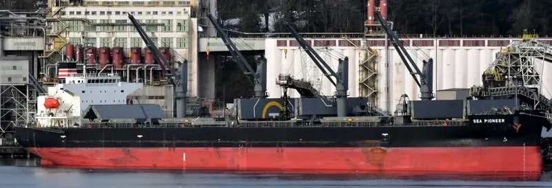 SEA PIONEER Bulk Carrier IMO 9758131 photo 6