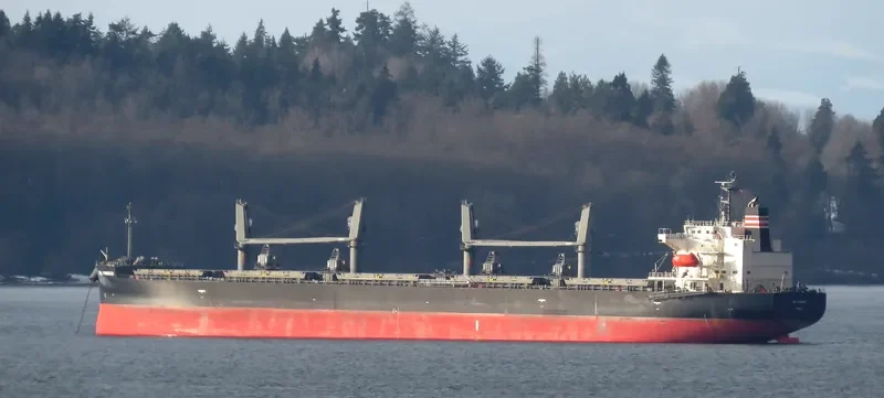 SEA PIONEER Bulk Carrier IMO 9758131 photo 7