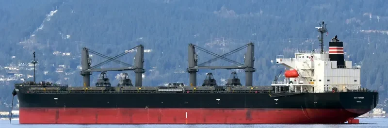 SEA PIONEER Bulk Carrier IMO 9758131 photo 9