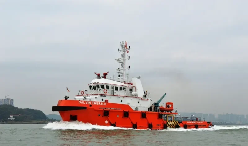 SEAEAGLES DOLPHIN General Cargo IMO 9758791 photo 2