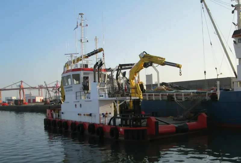 TEES GUARDIAN General Cargo IMO 9759783 photo 10