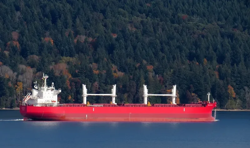 APOLLO.GR Bulk Carrier IMO 9760079 photo 2