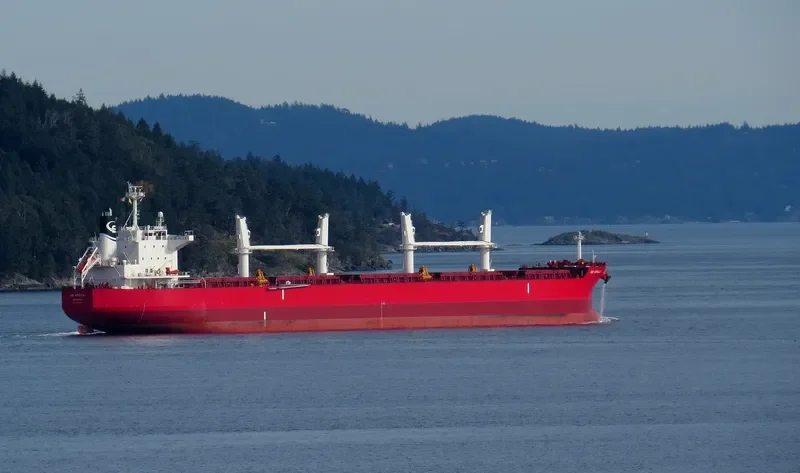 APOLLO.GR Bulk Carrier IMO 9760079 photo 3
