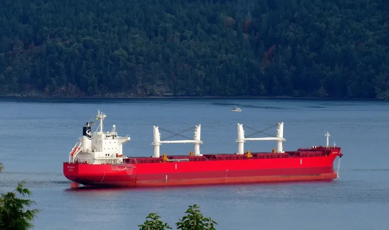 APOLLO.GR Bulk Carrier IMO 9760079 photo 5
