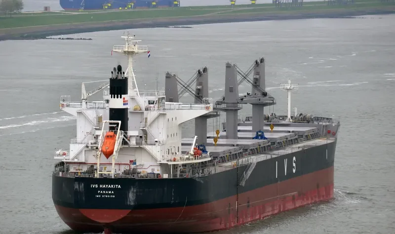 IVS HAYAKITA Bulk Carrier IMO 9760158