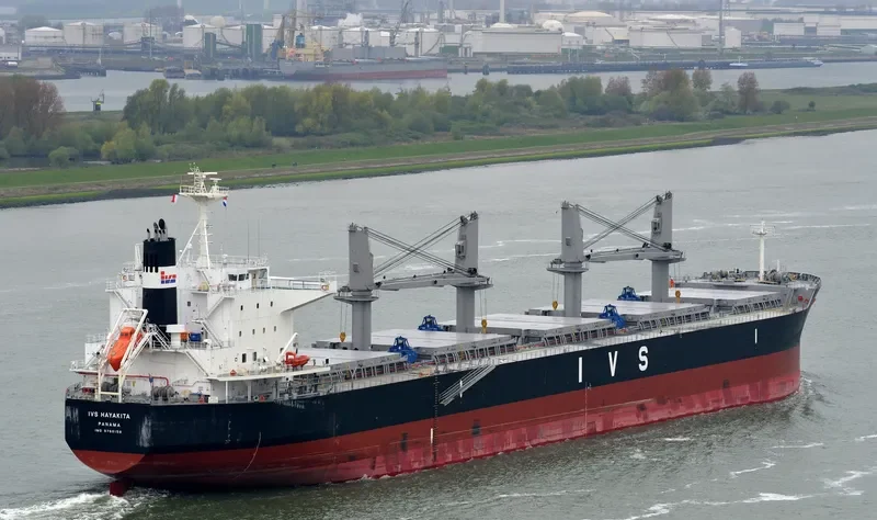 IVS HAYAKITA Bulk Carrier IMO 9760158 photo 3