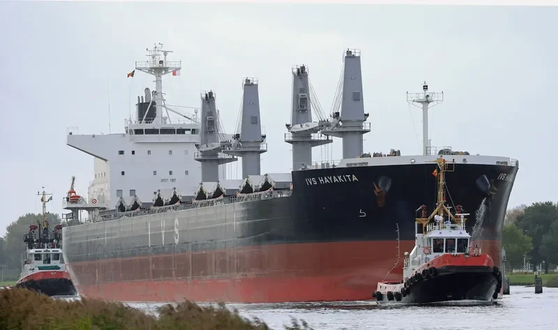 IVS HAYAKITA Bulk Carrier IMO 9760158 photo 4
