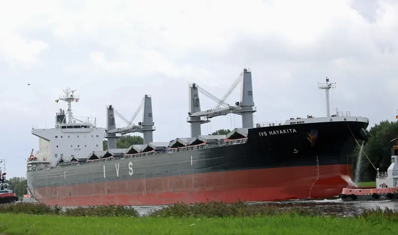 IVS HAYAKITA Bulk Carrier IMO 9760158 photo 5