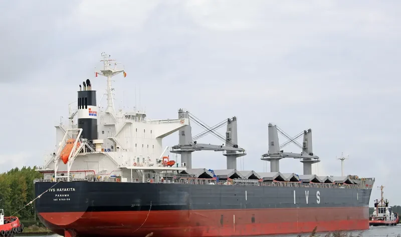 IVS HAYAKITA Bulk Carrier IMO 9760158 photo 6