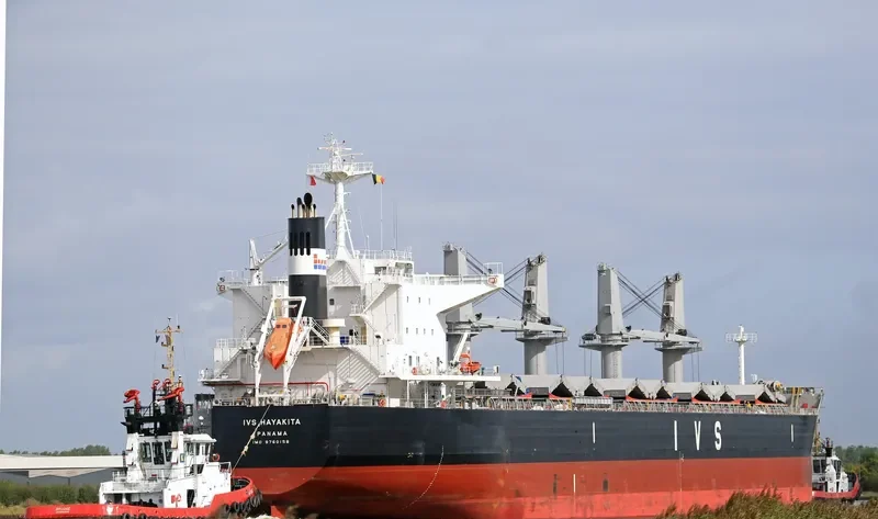 IVS HAYAKITA Bulk Carrier IMO 9760158 photo 7