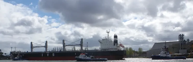IVS HAYAKITA Bulk Carrier IMO 9760158 photo 9