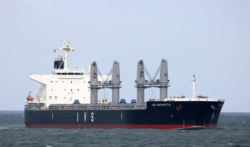 IVS HAYAKITA Bulk Carrier IMO 9760158 photo 10