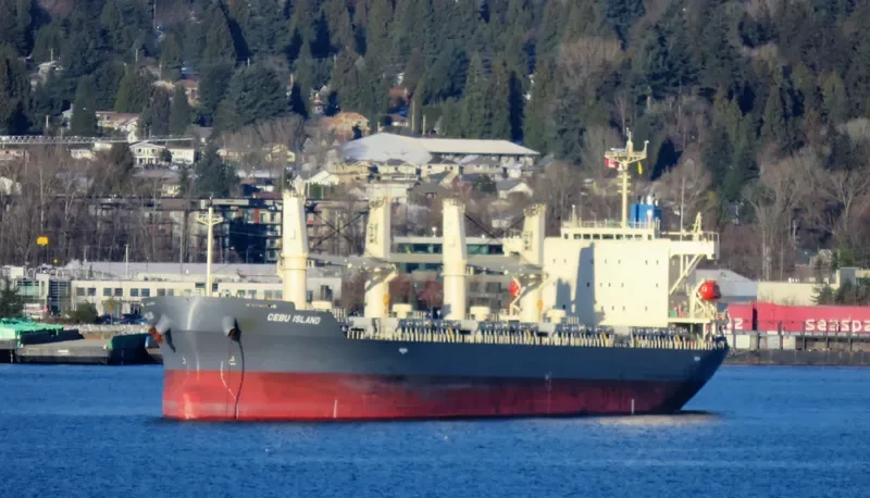 CEBU ISLAND General Cargo IMO 9760653 photo 3