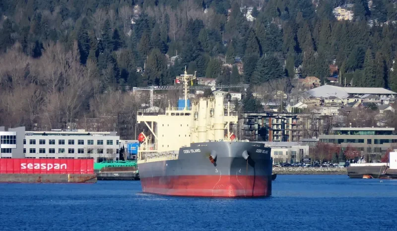 CEBU ISLAND General Cargo IMO 9760653 photo 5