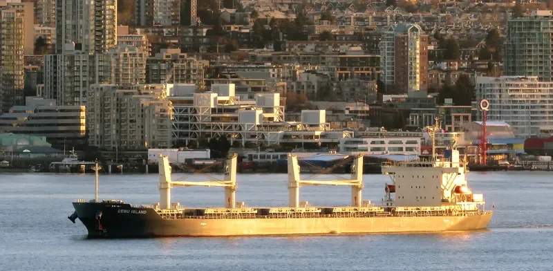 CEBU ISLAND General Cargo IMO 9760653 photo 6