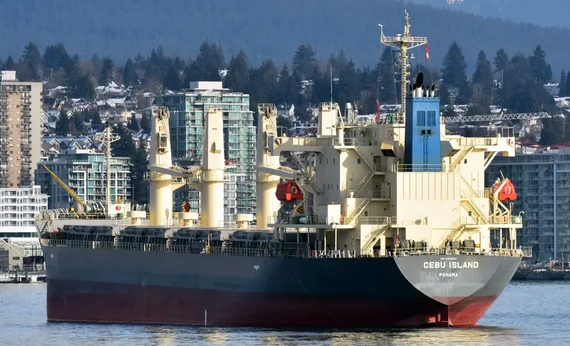 CEBU ISLAND General Cargo IMO 9760653 photo 8