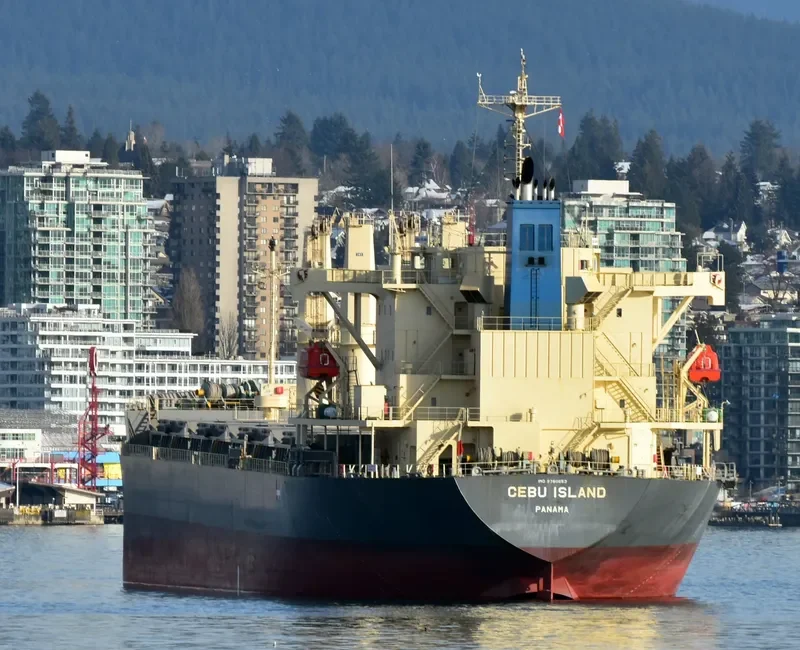 CEBU ISLAND General Cargo IMO 9760653 photo 9