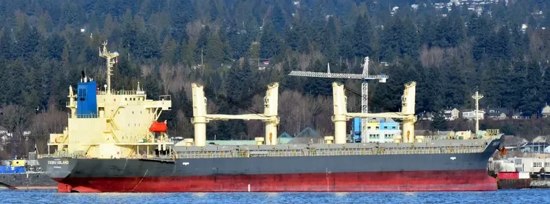 CEBU ISLAND General Cargo IMO 9760653 photo 10