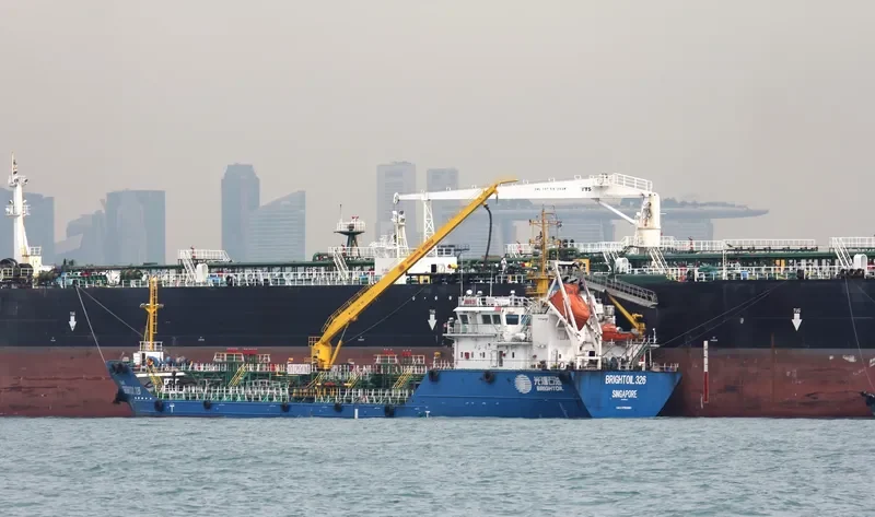 SEA DILIGENCE General Cargo IMO 9760861