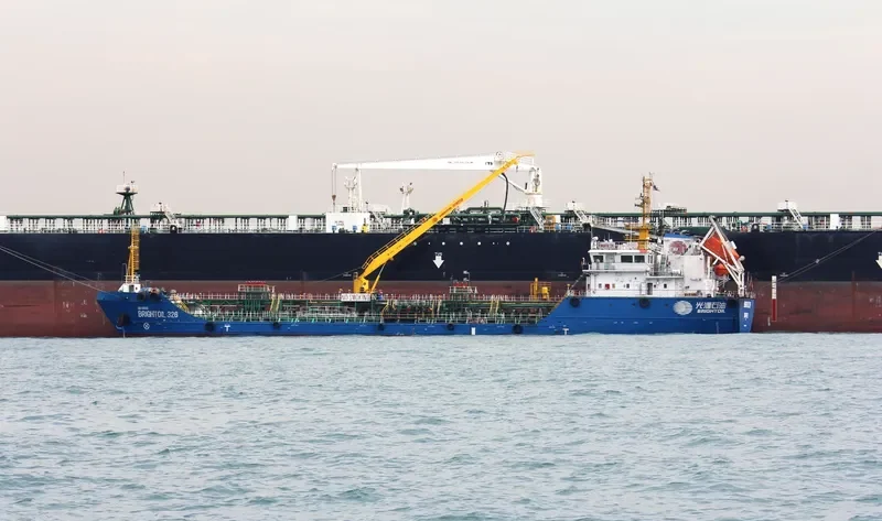 SEA DILIGENCE General Cargo IMO 9760861 photo 2