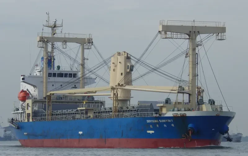 DERYOUNG SUNNYSKY General Cargo IMO 9760914 photo 5