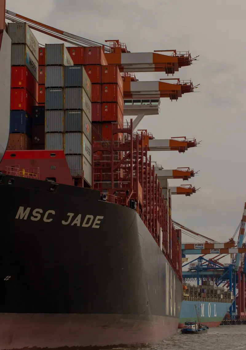 MSC JADE Container Ship IMO 9762326 photo 3