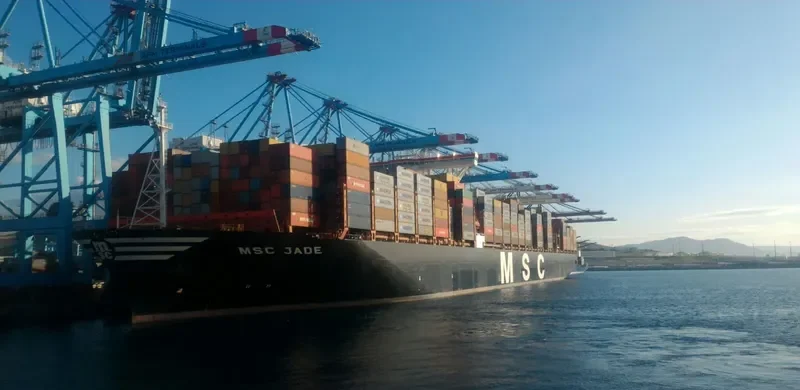 MSC JADE Container Ship IMO 9762326 photo 6