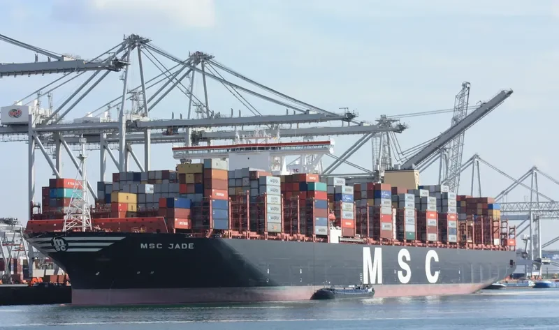 MSC JADE Container Ship IMO 9762326 photo 8