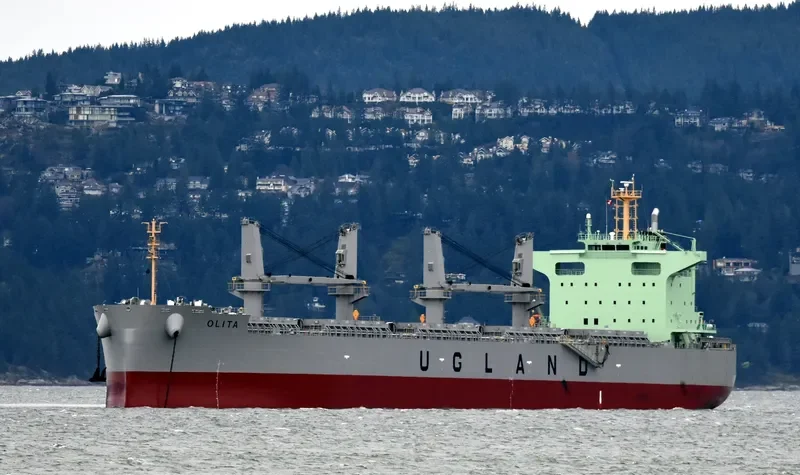 OLITA Bulk Carrier IMO 9762845