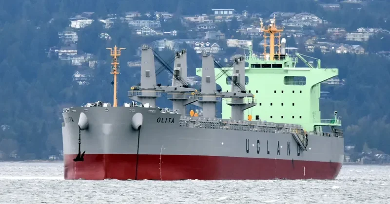 OLITA Bulk Carrier IMO 9762845 photo 2