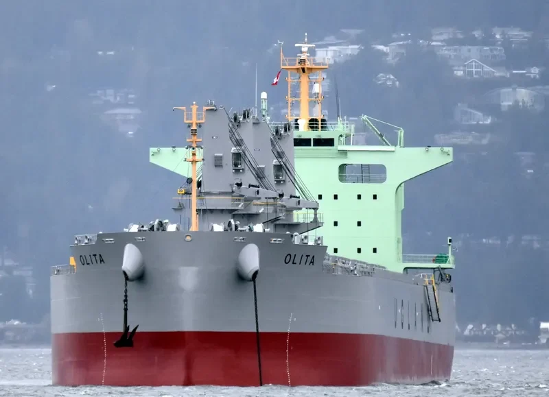 OLITA Bulk Carrier IMO 9762845 photo 3