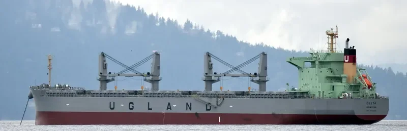 OLITA Bulk Carrier IMO 9762845 photo 5