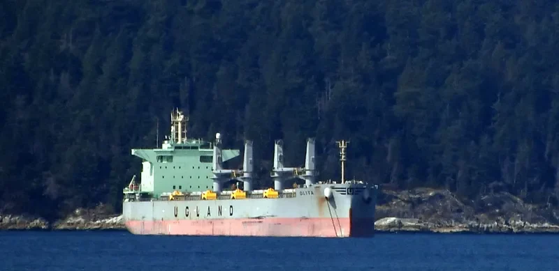 OLITA Bulk Carrier IMO 9762845 photo 7