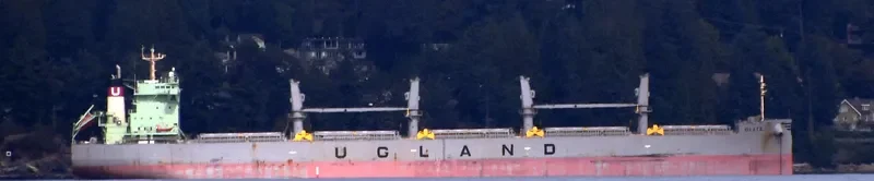 OLITA Bulk Carrier IMO 9762845 photo 8