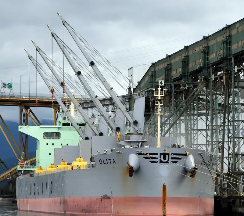 OLITA Bulk Carrier IMO 9762845 photo 10