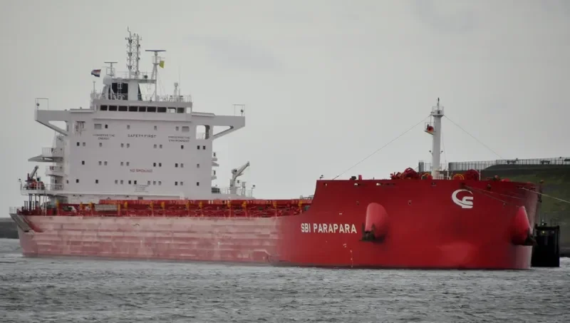 WADI ALMALEKAT Bulk Carrier IMO 9763904