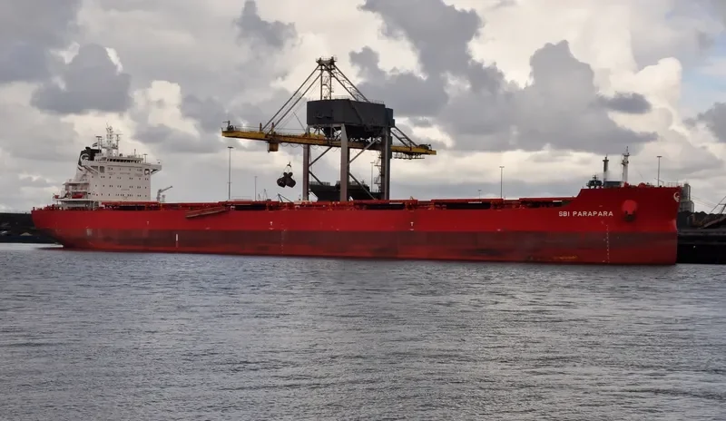 WADI ALMALEKAT General Cargo IMO 9763904 photo 3