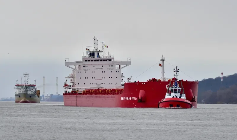 WADI ALMALEKAT General Cargo IMO 9763904 photo 6